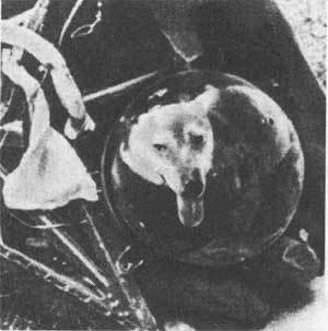 Королев: факты и мифы - _584.jpg