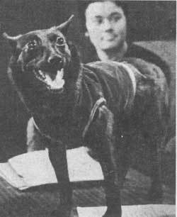 Королев: факты и мифы - _637.jpg