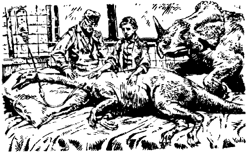 Затерянная Динотопия - i_013.png