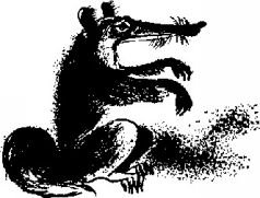 Тайна атолла Муаи - i_046.jpg