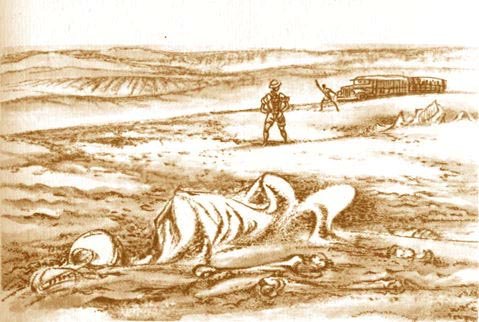 Африка грёз и действительности (Том 1, все фотографии) - i_056.jpg