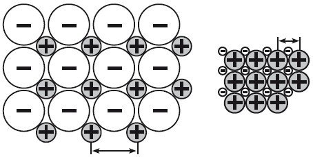Верхом на бомбе. Судьба планеты Земля и ее обитателей - i_007.jpg