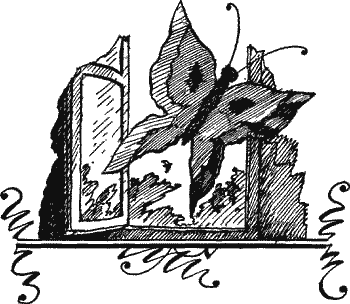 Алёнкины дорожки - Solpr220.png