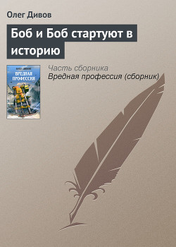 Книга Боб и Боб стартуют в историю
