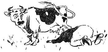 Нокаут - i_026.png