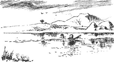 Нокаут - i_104.png