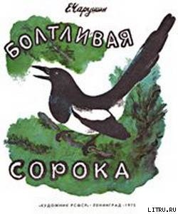 Книга Болтливая сорока