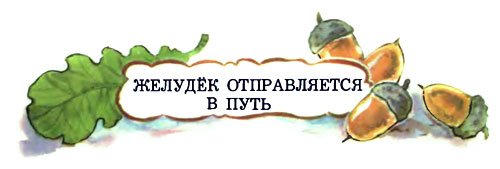 Желудёк - i_003.jpg