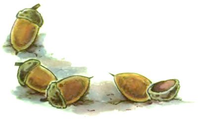 Желудёк - i_005.jpg