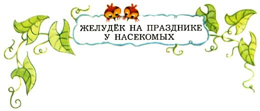 Желудёк - i_016.jpg