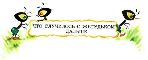 Желудёк - i_040.jpg