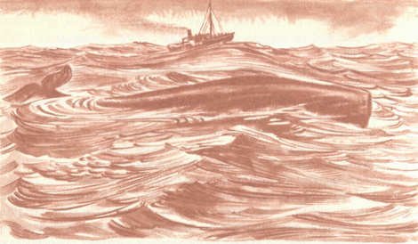 Африка грёз и действительности (Том 3) - i_024.jpg