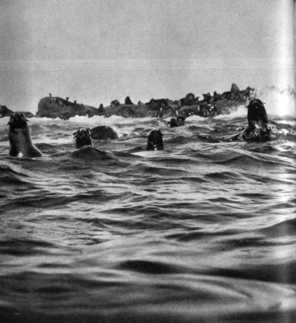 Африка грёз и действительности (Том 3) - i_029.jpg