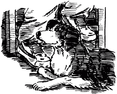 Собачье счастье - i_003.png