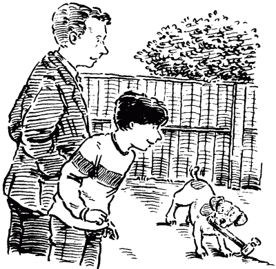 Собачье счастье - i_011.png