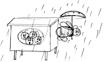 Пчелы в радость, или Опыт естественного подхода в пасечном деле - i_015.png