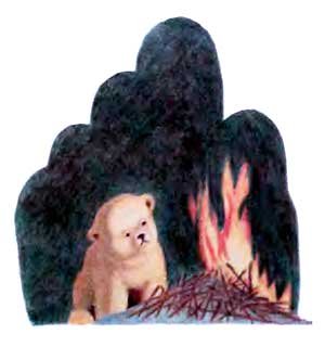 Фрам — полярный медведь - i_031.jpg