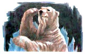 Фрам — полярный медведь - i_045.jpg