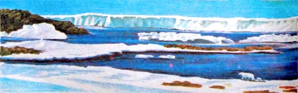 Фрам — полярный медведь - i_059.jpg