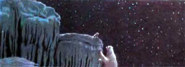 Фрам — полярный медведь - i_070.jpg