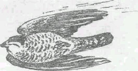 Повести и рассказы - i_006.jpg