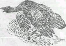 Повести и рассказы - i_008.jpg