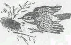 Повести и рассказы - i_010.jpg