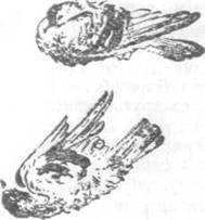 Повести и рассказы - i_032.jpg