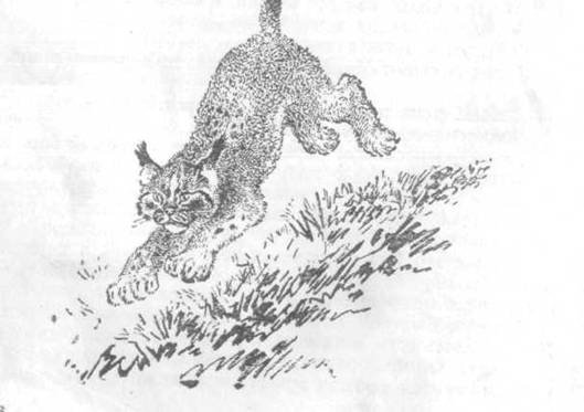 Повести и рассказы - i_033.jpg