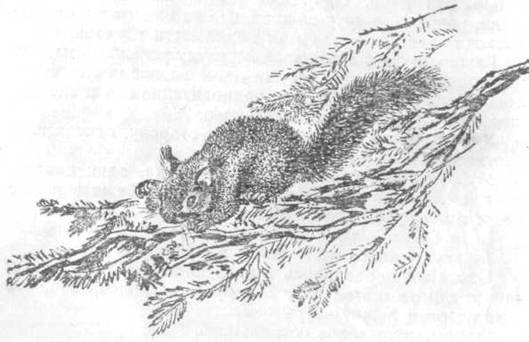 Повести и рассказы - i_034.jpg