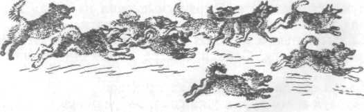 Повести и рассказы - i_035.jpg