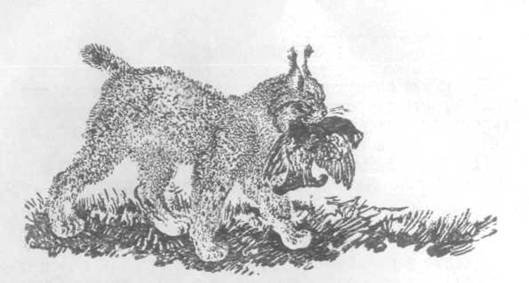 Повести и рассказы - i_037.jpg