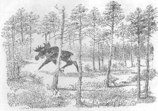 Повести и рассказы - i_039.jpg