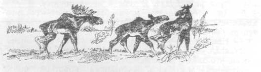 Повести и рассказы - i_043.jpg