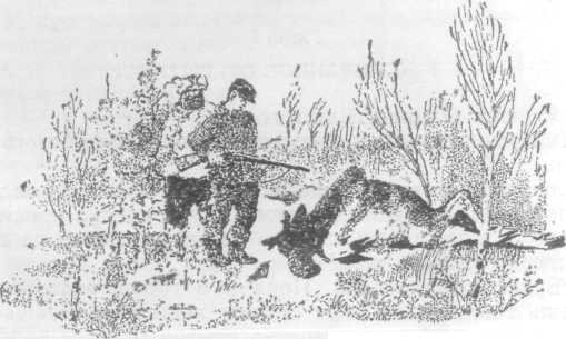 Повести и рассказы - i_048.jpg