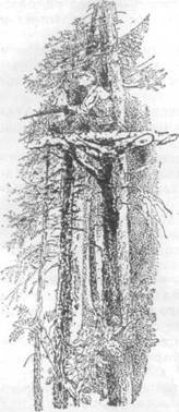 Повести и рассказы - i_049.jpg