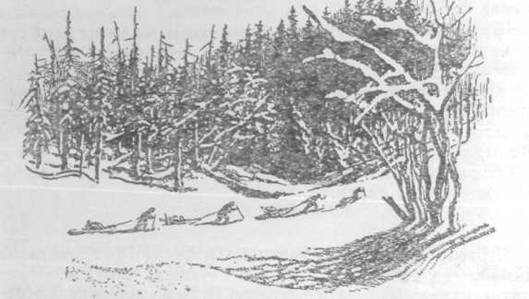 Повести и рассказы - i_058.jpg