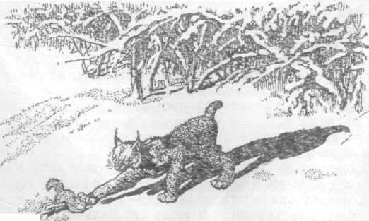 Повести и рассказы - i_059.jpg