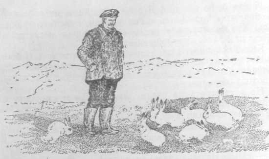 Повести и рассказы - i_065.jpg