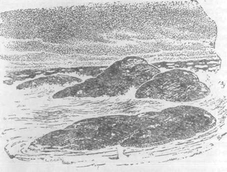 Повести и рассказы - i_070.jpg