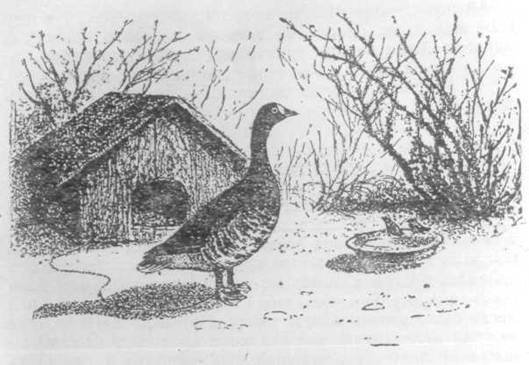 Повести и рассказы - i_072.jpg