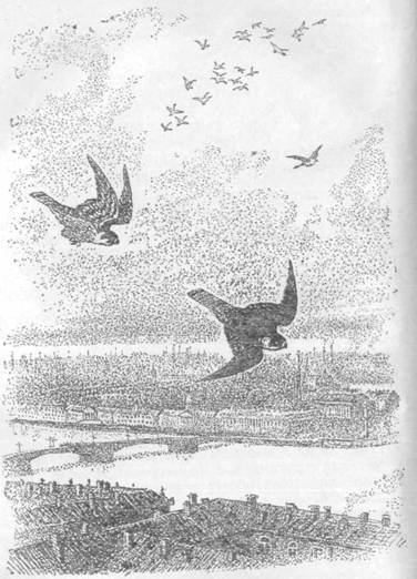 Повести и рассказы - i_077.jpg