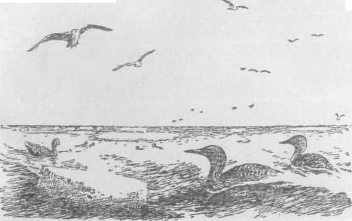 Повести и рассказы - i_078.jpg