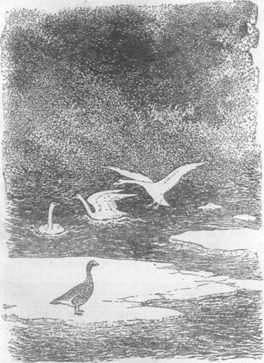 Повести и рассказы - i_079.jpg