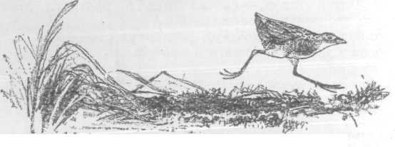 Повести и рассказы - i_083.jpg