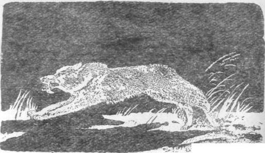 Повести и рассказы - i_094.jpg