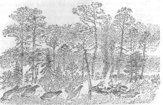 Повести и рассказы - i_114.jpg