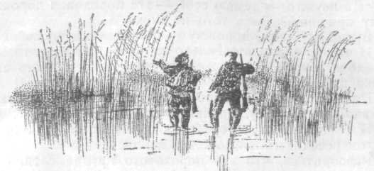 Повести и рассказы - i_122.jpg