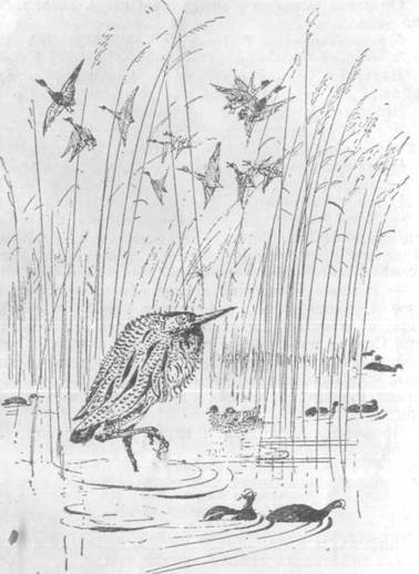 Повести и рассказы - i_124.jpg