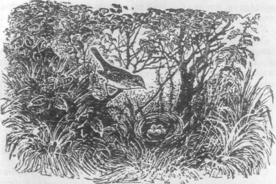 Повести и рассказы - i_126.jpg